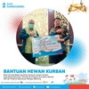 BANK SUMSEL BABEL SERAHKAN BANTUAN HEWAN KURBAN